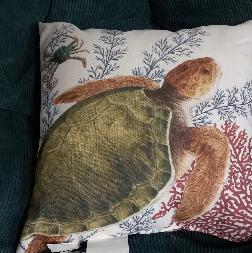 NWT Pottery Barn Coastal Outdoor Pillow Barn